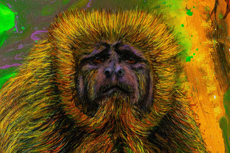 Paulo Burani realiza exposição em São José