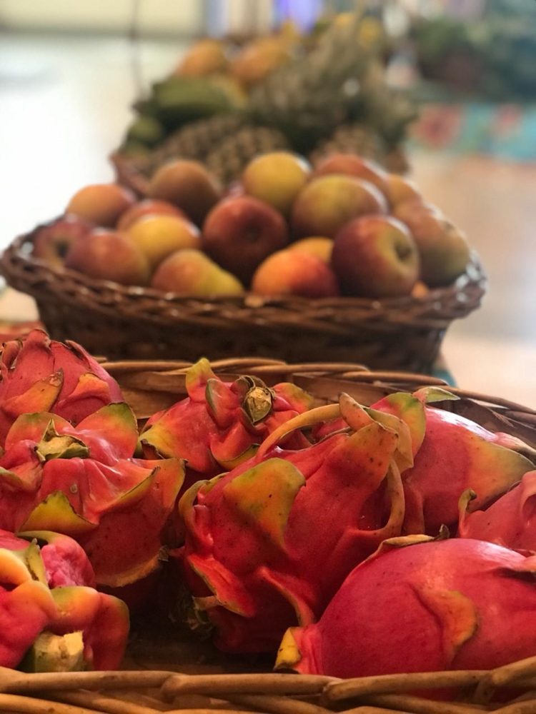 Shopping Continente recebe feiras de orgânicos e de adoção de animais